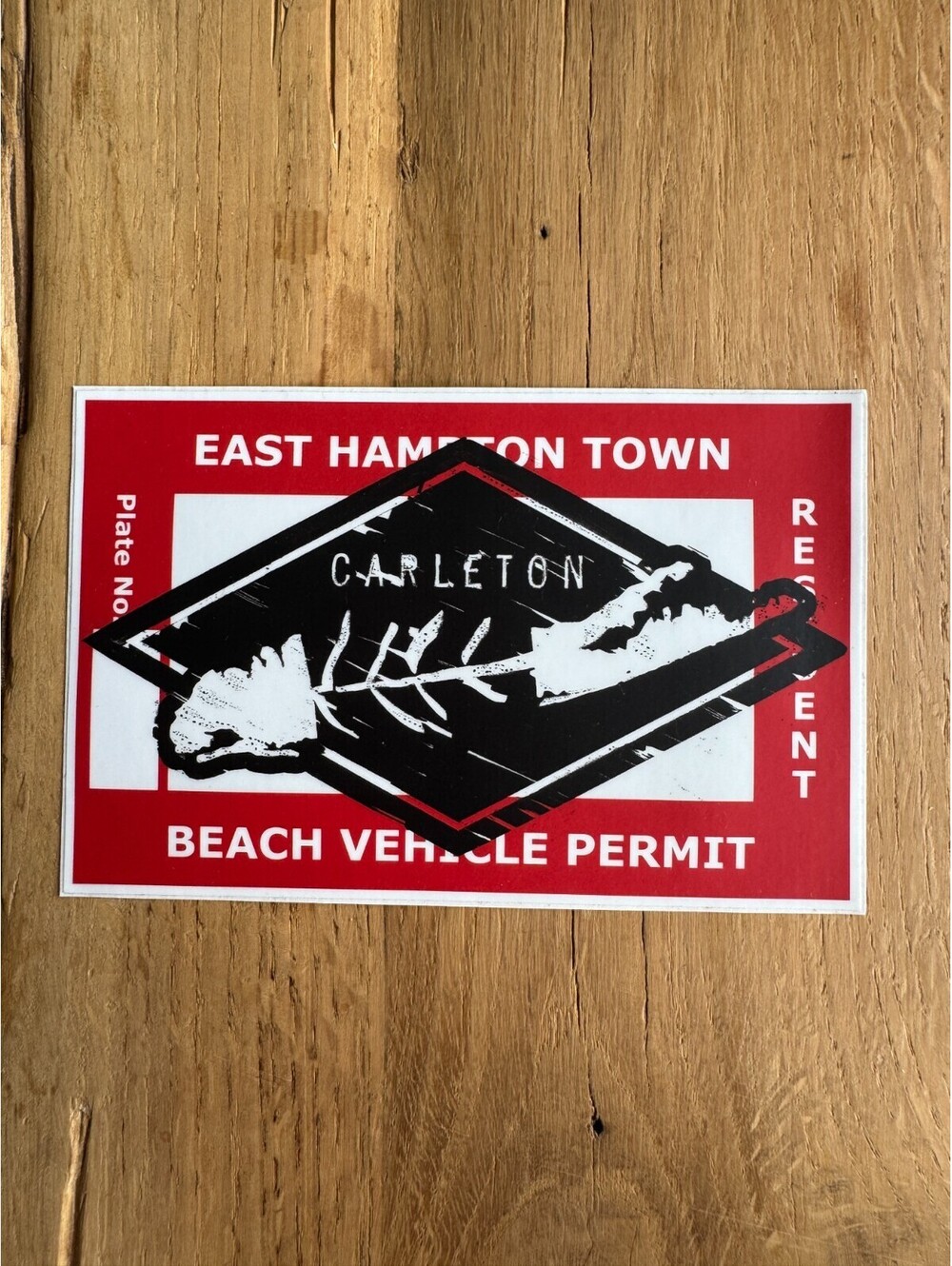 EAST Hampton Skeleton Fish Sticker Carleton LI Montauk Long Island NY New York